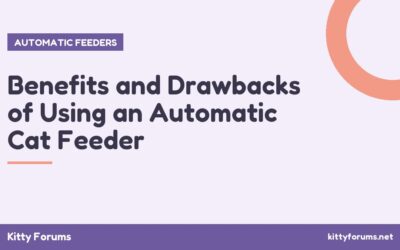 Benefits and Drawbacks of Using an Automatic Cat Feeder