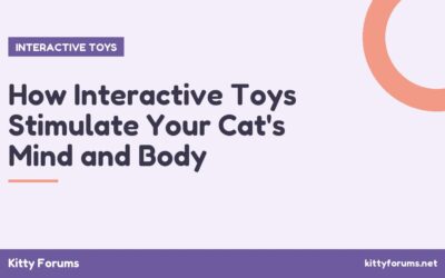 How Interactive Toys Stimulate Your Cat’s Mind and Body