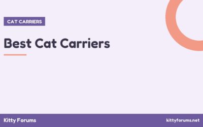 Best Cat Carriers