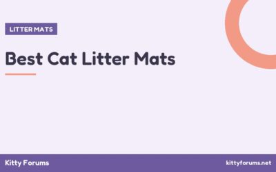 Best Cat Litter Mats