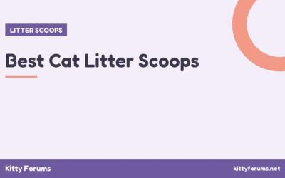 Best Cat Litter Scoops