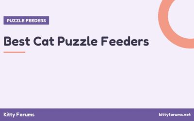 Best Cat Puzzle Feeders