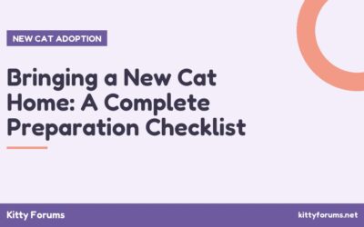 Bringing a New Cat Home: A Complete Preparation Checklist