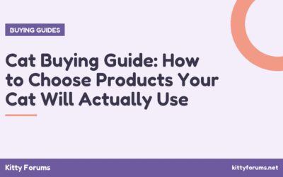 Cat Buying Guide: How to Choose Products Your Cat Will Actually Use