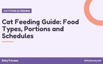 Cat Feeding Guide: Food Types, Portions and Schedules