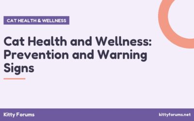 Cat Health and Wellness: Prevention and Warning Signs
