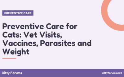Preventive Care for Cats: Vet Visits, Vaccines, Parasites and Weight