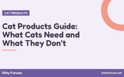 Cat Products Guide: What Cats Need and What They Don’t