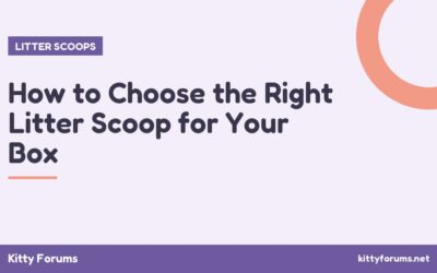 How to Choose the Right Litter Scoop for Your Box