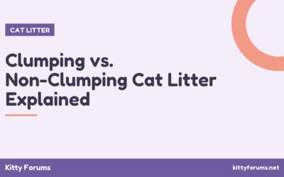 Clumping vs. Non-Clumping Cat Litter Explained