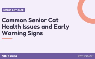 Common Senior Cat Health Issues and Early Warning Signs