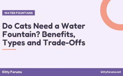 Do Cats Need a Water Fountain? Benefits, Types and Trade-Offs