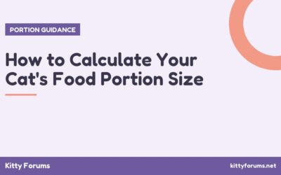 How to Calculate Your Cat’s Food Portion Size