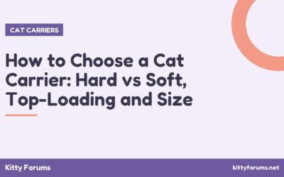 How to Choose a Cat Carrier: Hard vs Soft, Top-Loading and Size