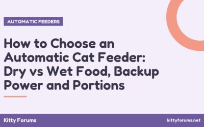 How to Choose an Automatic Cat Feeder: Dry vs Wet Food, Backup Power and Portions