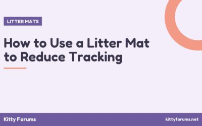 How to Use a Litter Mat to Reduce Tracking