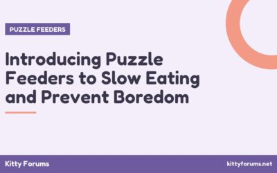 Introducing Puzzle Feeders to Slow Eating and Prevent Boredom