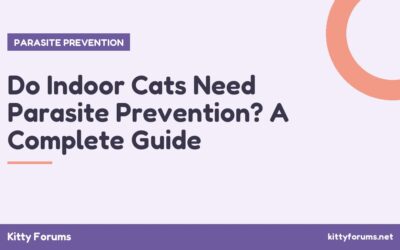 Do Indoor Cats Need Parasite Prevention? A Complete Guide