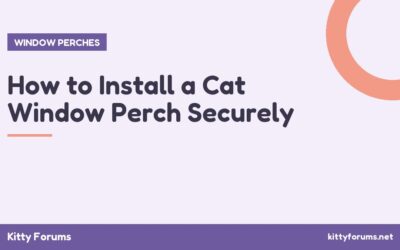 How to Install a Cat Window Perch Securely
