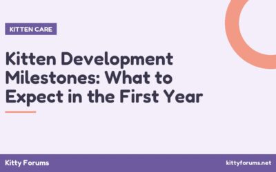 Kitten Development Milestones: What to Expect in the First Year