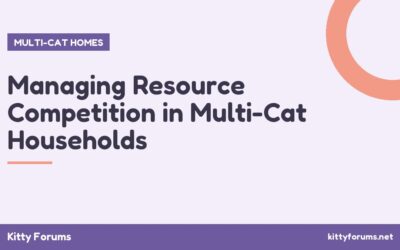 Managing Resource Competition in Multi-Cat Households