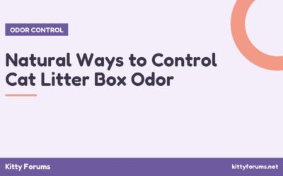 Natural Ways to Control Cat Litter Box Odor
