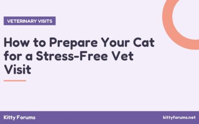 How to Prepare Your Cat for a Stress-Free Vet Visit