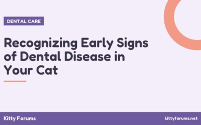 Recognizing Early Signs of Dental Disease in Your Cat
