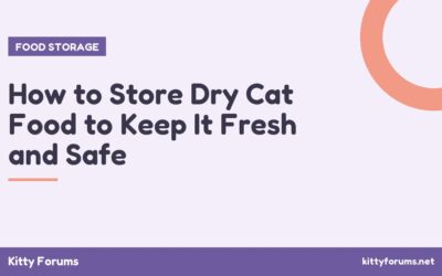 How to Store Dry Cat Food to Keep It Fresh and Safe