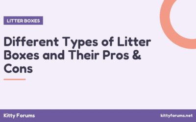 Different Types of Litter Boxes and Their Pros & Cons