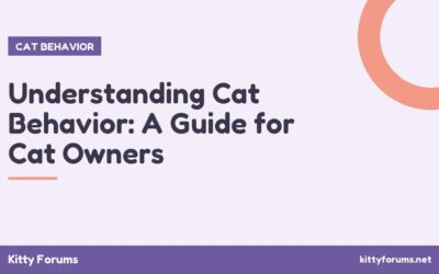 Understanding Cat Behavior: A Guide for Cat Owners
