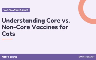 Understanding Core vs. Non-Core Vaccines for Cats