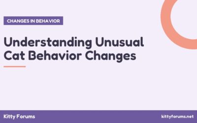 Understanding Unusual Cat Behavior Changes
